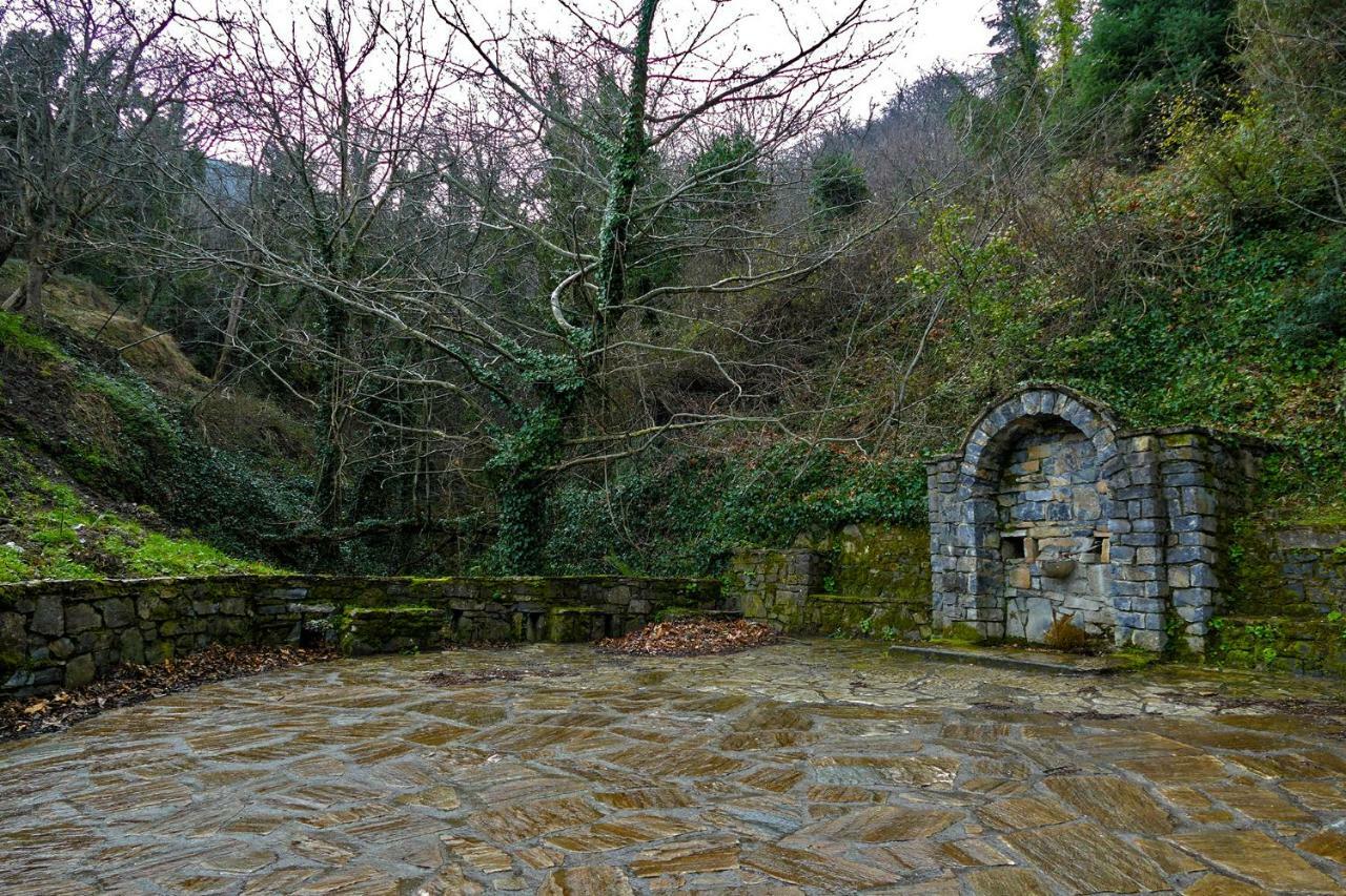 Antoniou Guesthouse Kastanitsa Εξωτερικό φωτογραφία